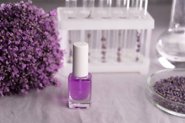 Laboratuvar deneyi ve çiçek üretimi cilt bakımı ürünü, lavanta özü veya tırnak yağı. Güzellik, cilt bakımı, kozmetoloji ve yenilik kavramı