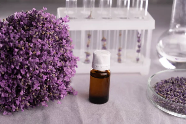 laboratory where cosmetics are created. Lavender extract. Dried flowers. cosmetics for women. Essence or oil for skin health. Copy space