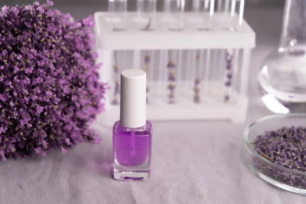 Laboratory experiment and production flower skin care product, lavender essence or cuticle oil. Beauty, skincare, cosmetology and innovations concept