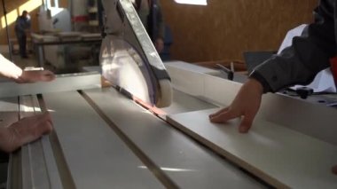 close-up hands of carpenters working with a sliding panel saw and sawing wood fiber board in a furniture factory or chipboard workshop. the concept of production, fabrication and woodworking industry