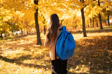 Okul mavi sırt çantalı ve sonbahar akçaağaç yapraklı okul kızı parkta, arka manzaralı. Yeni bir akademik yılın başlangıcı. Okul konseptine dönelim.