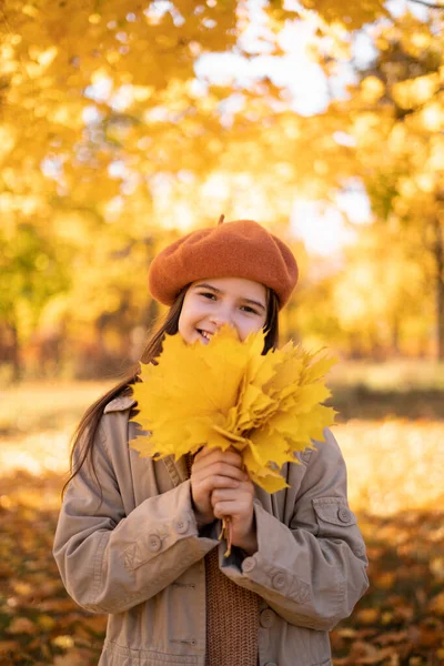 Piękna Dziewczyna Stojąca Żółtym Klonem Liście Jesiennym Parku Wspaniałe Włosy — Zdjęcie stockowe