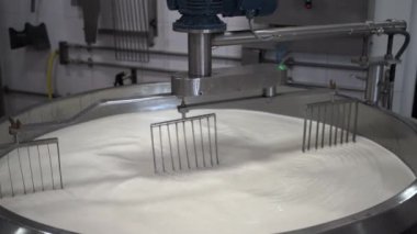Peynir ve süt süt üretim fabrikası. Geleneksel Avrupa yapımı sağlıklı gıda üretimi. Yakın plan.
