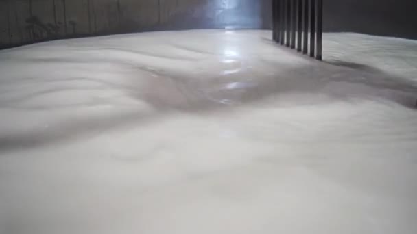 Proces Produkcji Serów Zbliżenie Mieszania Mleka Dużym Zbiorniku Stali Nierdzewnej — Wideo stockowe