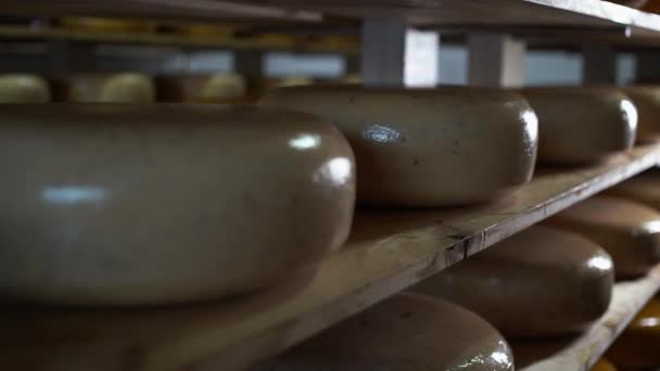 Reihen Käse Holzregalen Der Käserei Lagerhaus Den Käse Mit Den — Stockvideo