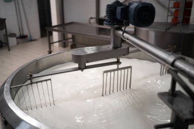 Peynir üretimi için tankta süt pişirmek. Peynir fabrikası kavramı
