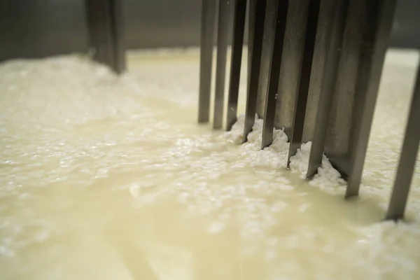チーズ工場のタンクでカードとホエイを切断し 業界でさまざまな種類のチーズを生産するプロセス マクロビュー 事業としてのチーズづくり — ストック写真