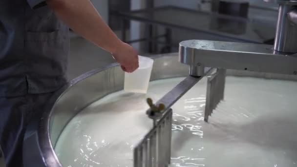 Τσαγκάρης Ρίχνει Πυτιά Μια Μεγάλη Ατσάλινη Δεξαμενή Γεμάτη Γάλα Μέθοδος — Αρχείο Βίντεο