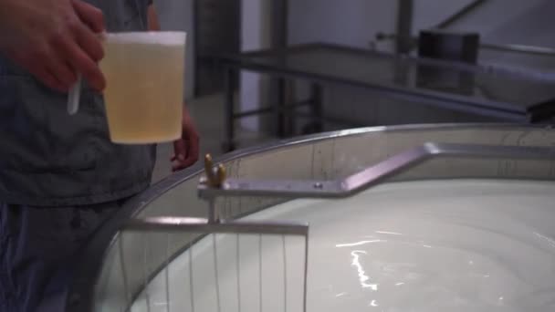 Cheesemaker Vierte Cuajo Gran Tanque Acero Inoxidable Lleno Leche Primer — Vídeos de Stock