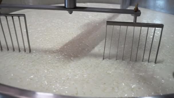 Τυρί Και Ορός Γάλακτος Δεξαμενή Στο Εργοστάσιο Τυριών Έννοια Παραγωγής — Αρχείο Βίντεο