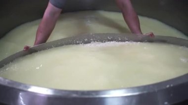 Süt ürünleri şirketinde peynir üretimi için dondurulmuş sütle yüksek sıcaklıkta bir kazan. Peynir üreticisi kavramı