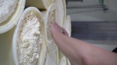 Peynir ve süt süt üretim fabrikasında elle çalışan işçi, yakın plan. Yerel bir fabrikada taze kaymak. Geleneksel Avrupa sağlıklı gıda üretimi. Peynir yapma konsepti. Dikey video