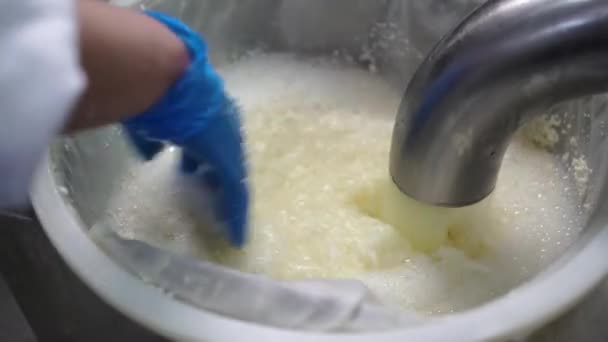 在奶酪工厂 工人们控制着乳清从罐中排入筛子 关闭了 奶酪生产 奶酪奶业 — 图库视频影像