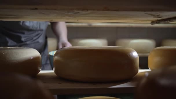 Сыр Воском Фабричном Складе Крупным Планом Концепция Производства Европейских Сыров — стоковое видео