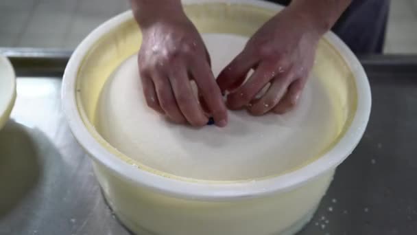 Fromager Formant Fromage Moules Ferme Productrice Numéro Date Gros Plan — Video