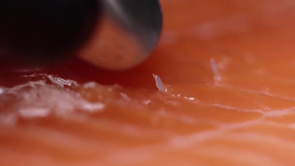 Close Chefs Hands Tweezers Remove Bones Salmon Fillet Macro View — Stock Video