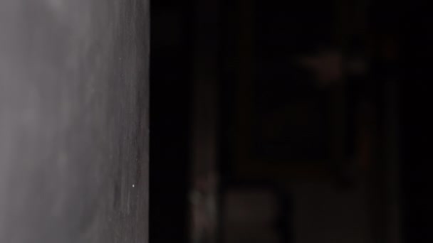 Шеф Кухар Який Готує Суші Кладе Помаранчеву Бамбукову Серветку Металевий — стокове відео