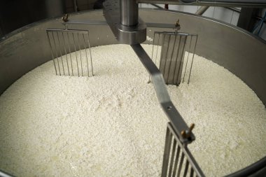 Peynir fabrikasındaki çelik paslanmaz akvaryumda, yaklaş. Endüstride farklı peynir çeşitleri üretme süreci. Üst görünüm