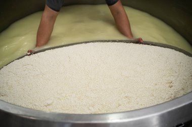 Peynir ve süt süt süt üretim fabrikasında elle çalışan işçi. Üretim sürecinin bir parçası. Sıcak bir fıçıda kaymak ve süt. Boşluğu kopyala