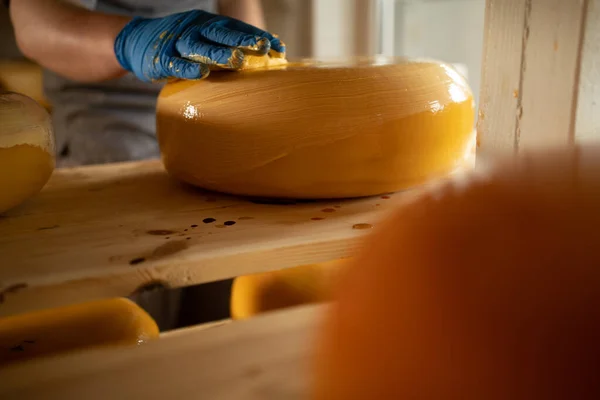 Worker coating cheese with wax in cheese maturation storage, closeup. Concept of production of European cheeses and dairy products