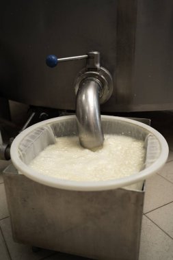 Süt ürünleri fabrikasındaki sütlükten kaymağı ayıran işlem. Peynir pişirme süreci konsepti. Kapat.