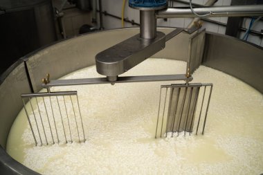 Peynir fabrikasındaki akvaryumda krema ve süt, en iyi manzara. Peynir yapmak bir iştir. Boşluğu kopyala