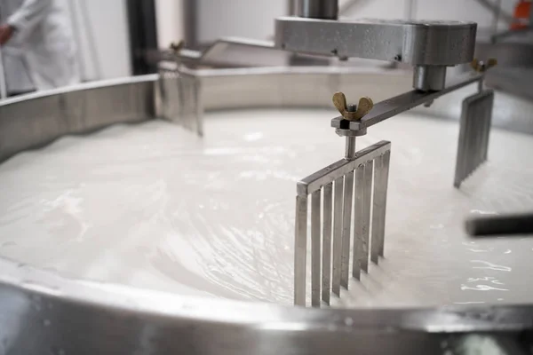 Tank Full Med Mjölk Ostfabrik Framställning Parmesanost Italien Begreppet Modern — Stockfoto