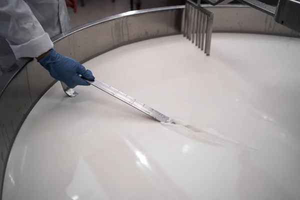 Creatore Formaggio Testare Siero Latte Latte Fabbrica Processo Produzione Del — Foto Stock