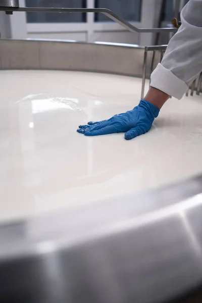Cheese Maker Test Prima Sequenza Produzione Del Formaggio Latte Coagulato — Foto Stock