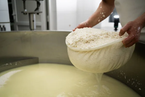 Osttillverkare Förbereder Form Parmesanost Med Färsk Ostmassa Osttillverkning Separera Ostmassa — Stockfoto