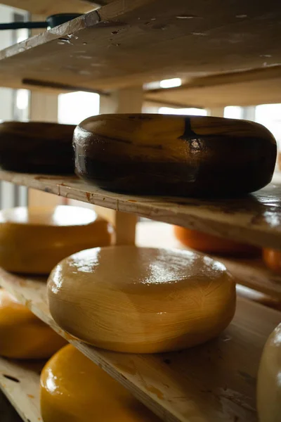 Cheese heads in wax on wooden shelves in the cheese maturation storage. The concept of production of cheeses and dairy products