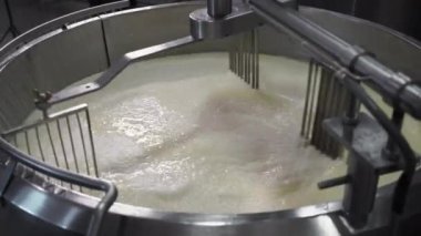 Peynir fabrikasındaki akvaryumda, modern ekipmanlarla. Boşluğu kopyala