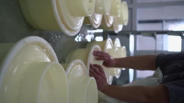 チーズ工場でカードを型に押し込む作業員 閉じます 乳製品中のチーズの生産 小規模事業と生産の概念 — ストック動画