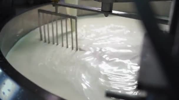 Процес Виробництва Пармезанського Сиру Італії Робітник Обробляє Ферментоване Молоко Вигляд — стокове відео
