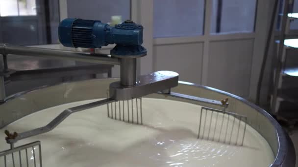 チーズ工場のステンレスタンクで牛乳を調理する チーズ製造工程 スペースのコピー — ストック動画