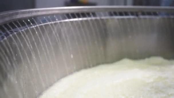 奶酪生产过程中的温度 加入热水和发酵工艺 奶酪制作概念 — 图库视频影像