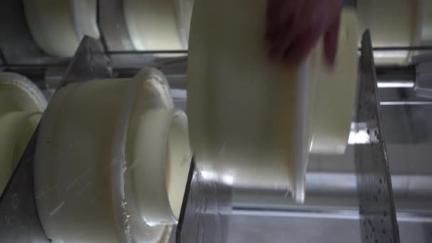 공장의 압축기 인쇄기가 생산하는 치즈를 누르고 있습니다 — 비디오