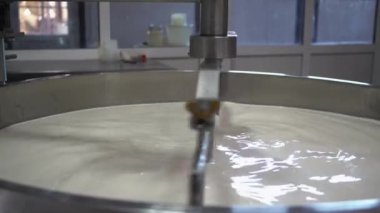 Peynir üretimi için çelik paslanmaz tankta süt pişirmek. Görüntüyü kapat.