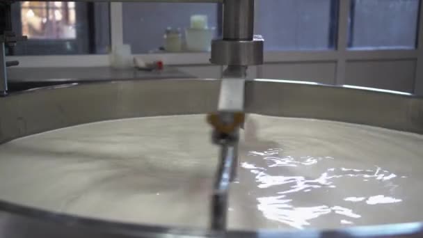 チーズ製造用のステンレスタンクで牛乳を調理する ビューを閉じる — ストック動画
