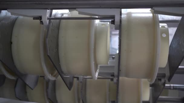 Часть Процесса Производства Сыра Молодой Сыр Прессовали Специальных Формах Молочных — стоковое видео