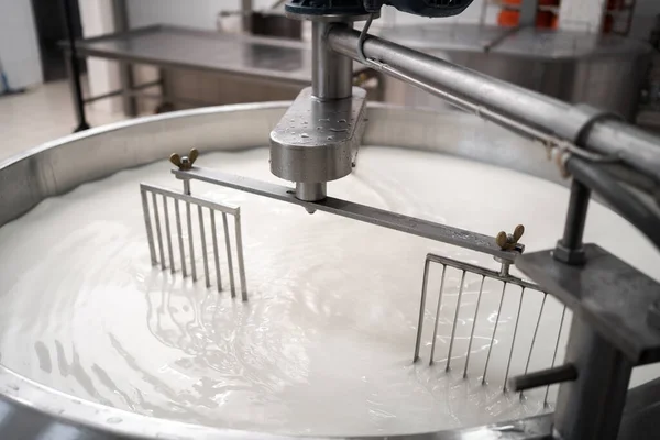 Tank Full Milk Cheese Factory Parmesan Cheese Production Italy Concept — Stock Photo, Image