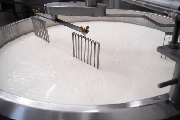 Processo Produzione Del Formaggio Latte Fresco Fermentato Durante Processo Produzione — Foto Stock