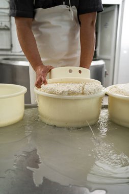 Süt ürünleri fabrikasındaki plastik kalıplara peynir döken adam. Peynir üreticisi taze peynir hazırlıyor. Boşluğu kopyala