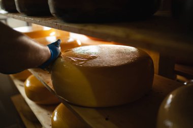 Fabrika deposunda peyniri mumla kaplayan erkek işçilere yakın çekim. Boşluğu kopyala