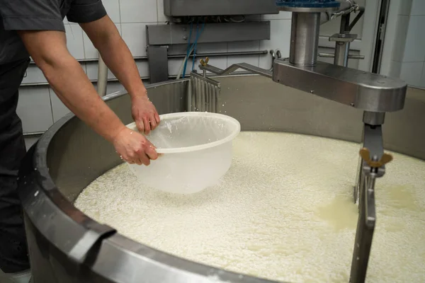 Osttillverkare Som Anstränger Ostmassa Från Vassle Medan Arbetar Inom Mejeriproduktionen — Stockfoto
