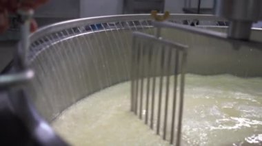 Peynir üretim tesisi, mayalanan sütle dolu bir tank. Dondurulmuş sütü olan sıcak büyük kazan yüksek ısıya getirdi. Yakın plan.