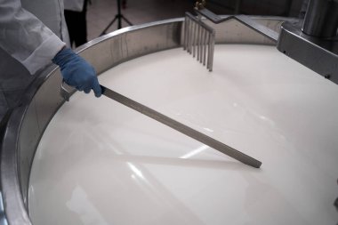 Bir depo dolusu mayalanan sütle birlikte peynir üreten kadın işçi. Boşluğu kopyala