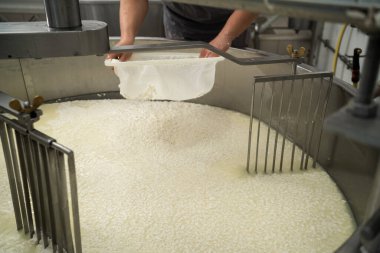 Peynir üretimi ve süt ürünleri deposu. Civardaki bir fabrikada peynir fabrikası çalışanının lor peynirinden ayrılması. Boşluğu kopyala