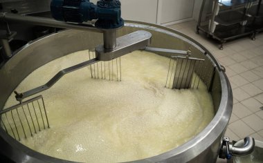 Peynir fabrikasındaki akvaryumda kaymak ve sütü karıştırıyorum. Boşluğu kopyala