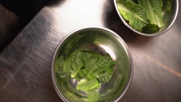 Salada Caesar Processo Cozedura Chef Cozinhar Salada César Restaurante Acrescenta — Vídeo de Stock